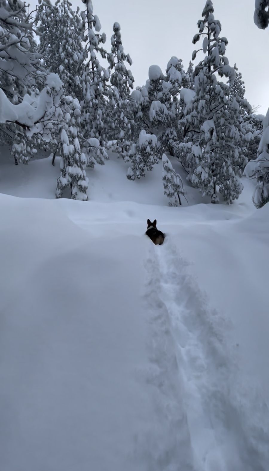 Winter Silence — winter changes everything, but never the quiet.
